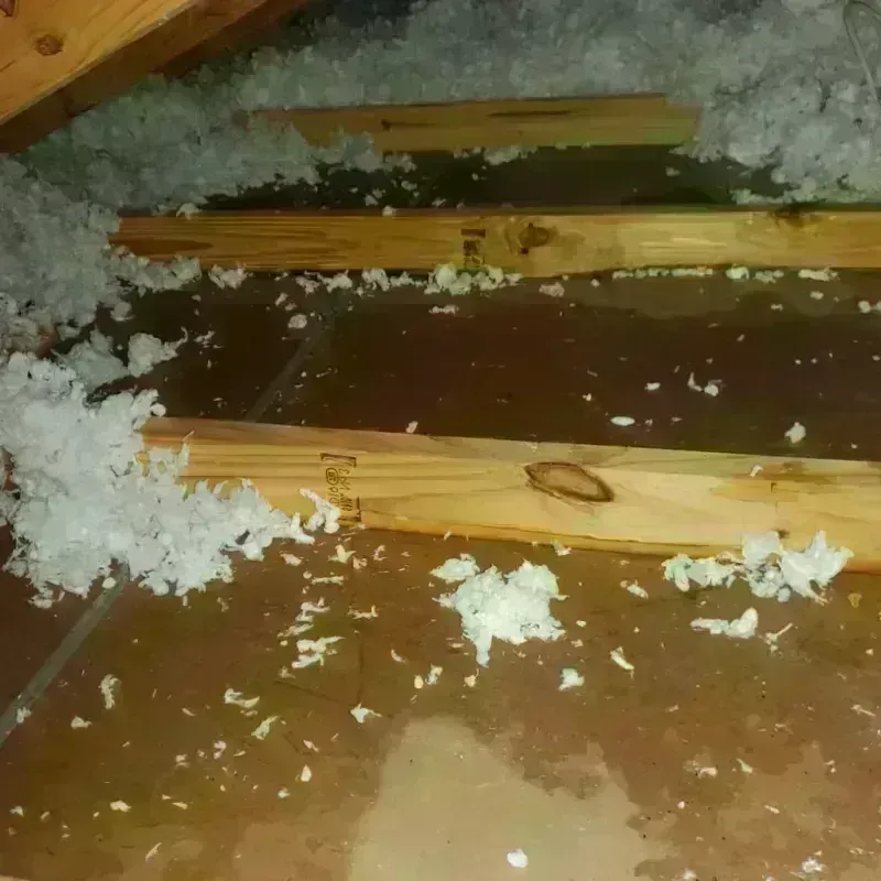 Attic Water Damage in Frederick, OK