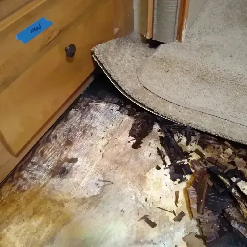 Wood Floor Water Damage in Frederick, OK